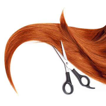 Scissors and Hair
